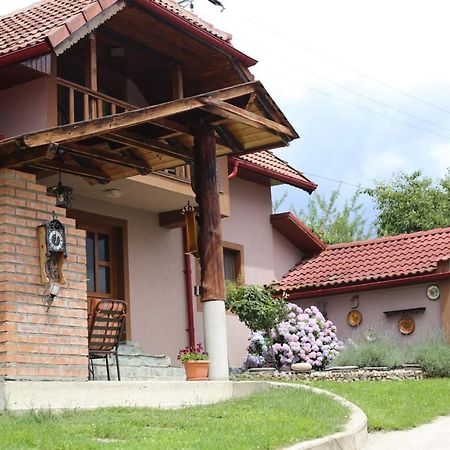 Casa Darius Villa Novaci-Străini Buitenkant foto