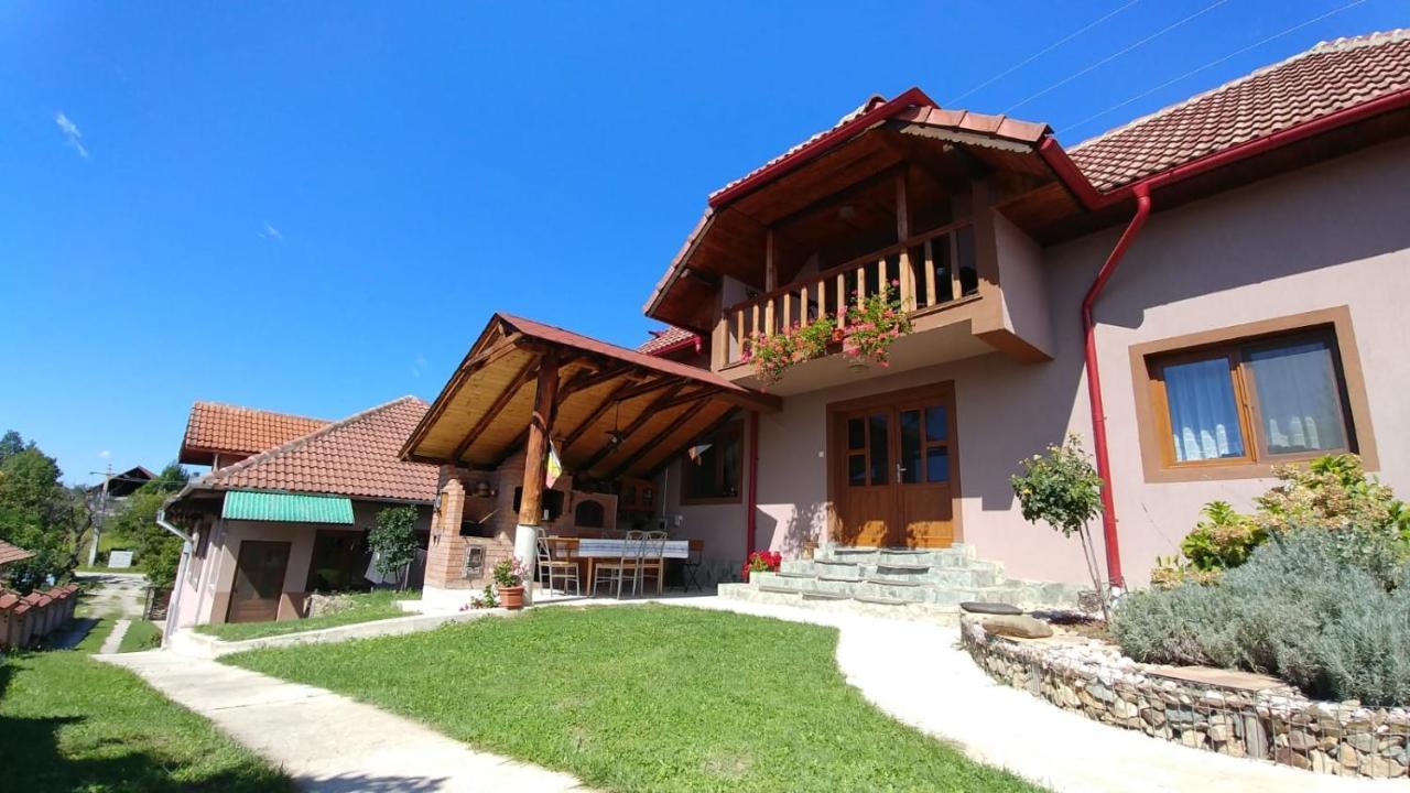 Casa Darius Villa Novaci-Străini Buitenkant foto