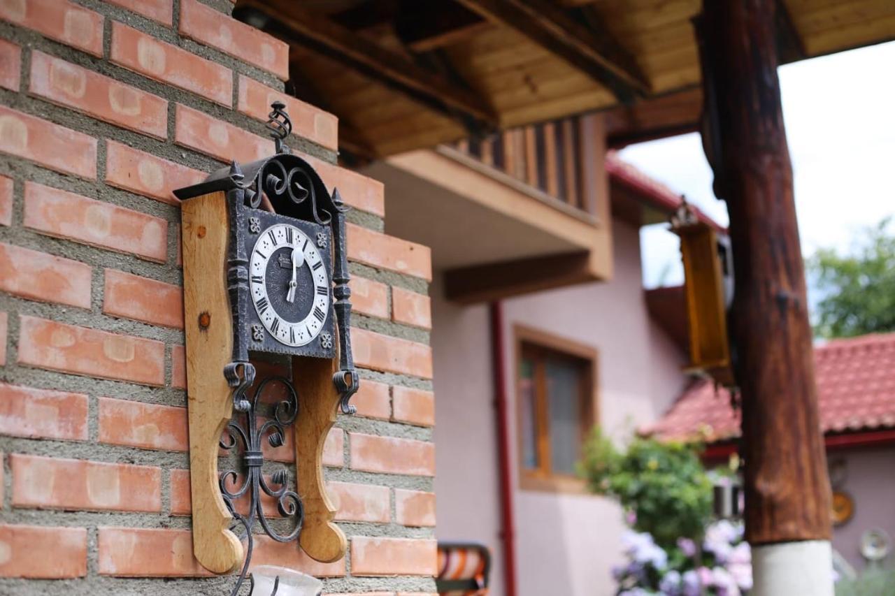 Casa Darius Villa Novaci-Străini Buitenkant foto