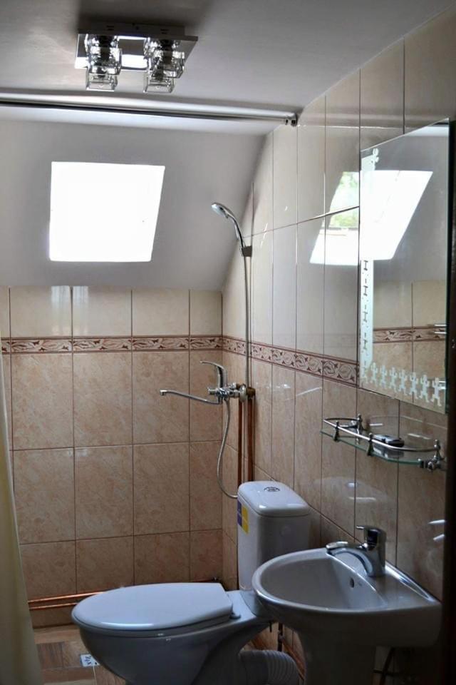Casa Darius Villa Novaci-Străini Buitenkant foto