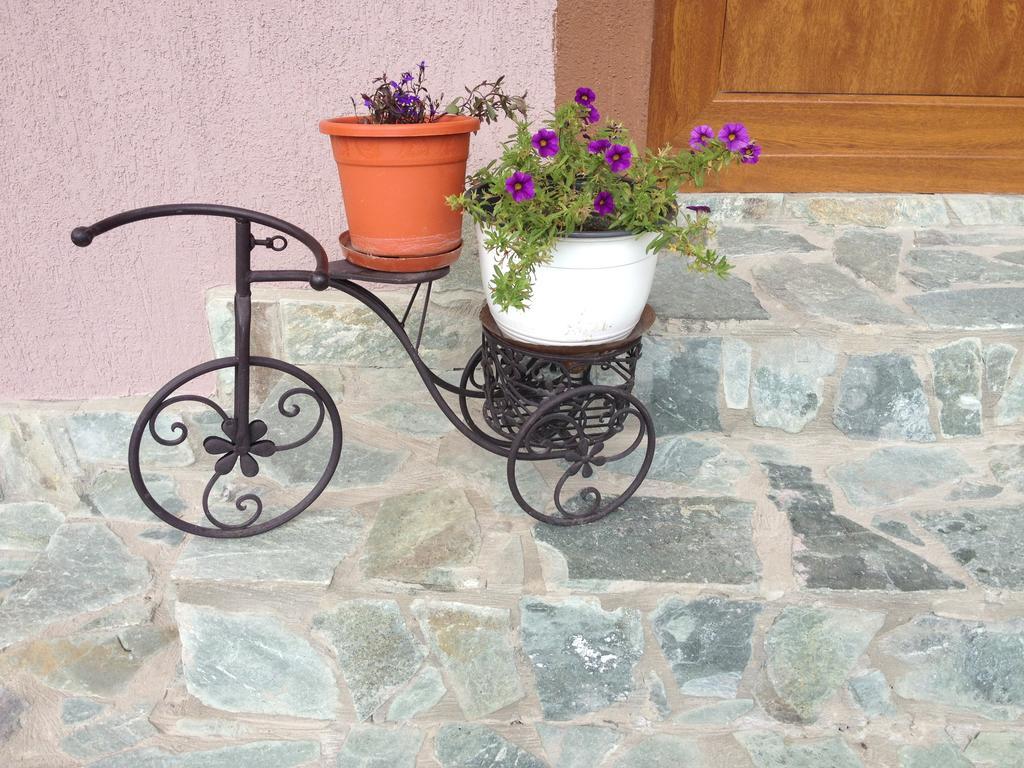 Casa Darius Villa Novaci-Străini Buitenkant foto