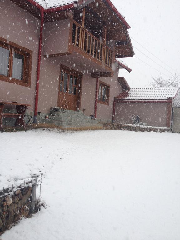 Casa Darius Villa Novaci-Străini Buitenkant foto