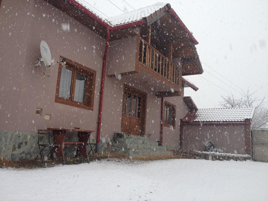Casa Darius Villa Novaci-Străini Buitenkant foto